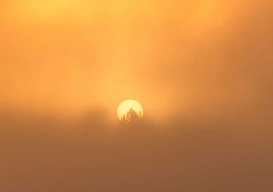 Another Magical Sunrise At Lake Bled In Slovenia