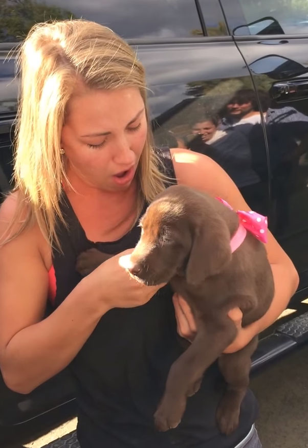 Guy Proposes To His Girlfriend With A Puppy And She Just Can’t Hold Her Emotions Guy Proposes To His Girlfriend With A Puppy And She Just Can’t Hold Her Emotions