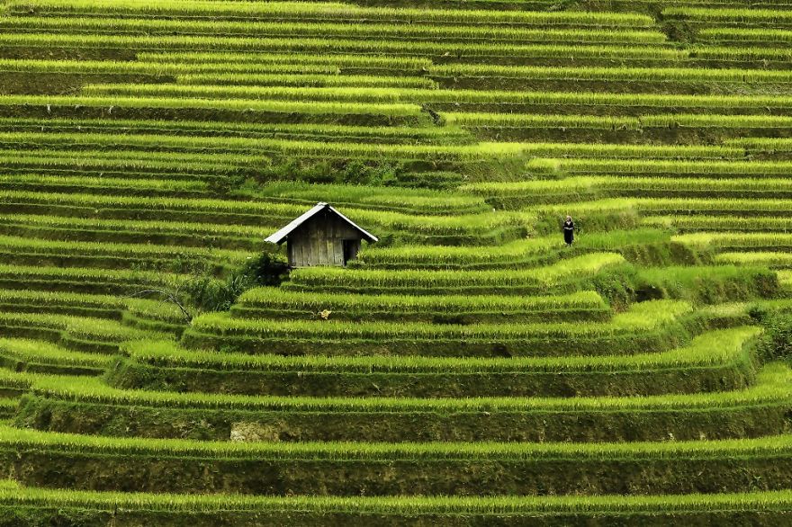 Vietnam: A Mosaic Of Contrasts By Photographer Rehahn