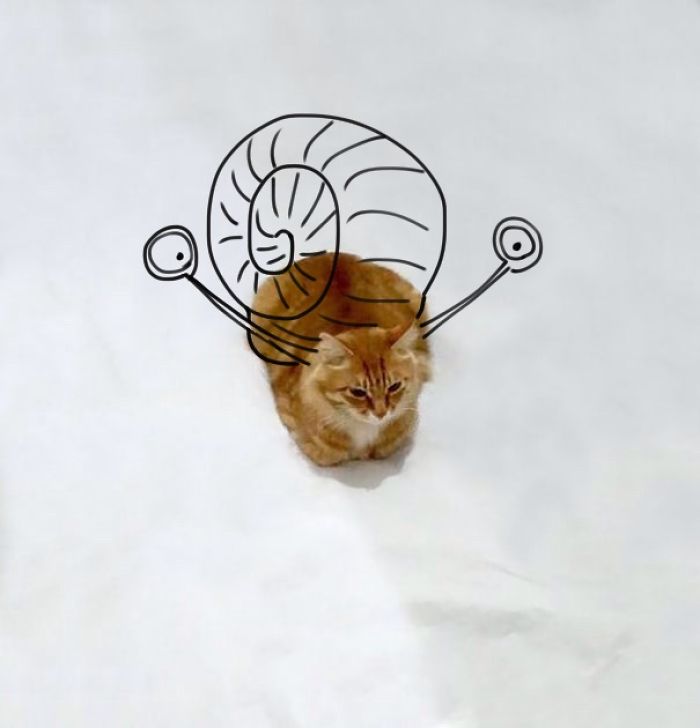 Challenge: Doodle This Cat Photo To Give Him New Adventures (261 Pics) Challenge: Doodle This Cat Photo To Give Him New Adventures (261 Pics)