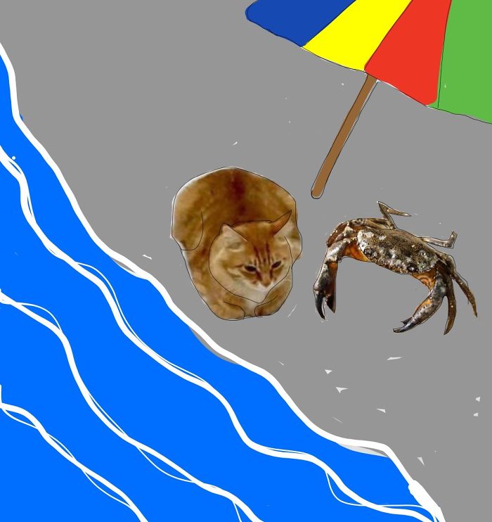 Challenge: Doodle This Cat Photo To Give Him New Adventures (261 Pics) Challenge: Doodle This Cat Photo To Give Him New Adventures (261 Pics)