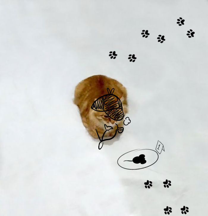 Challenge: Doodle This Cat Photo To Give Him New Adventures (261 Pics) Challenge: Doodle This Cat Photo To Give Him New Adventures (261 Pics)