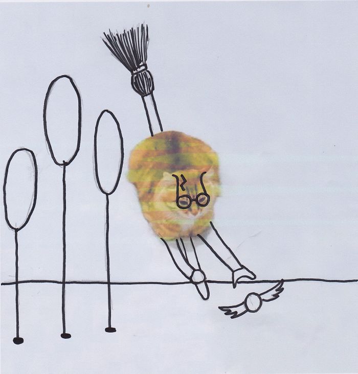 Challenge: Doodle This Cat Photo To Give Him New Adventures (261 Pics) Challenge: Doodle This Cat Photo To Give Him New Adventures (261 Pics)