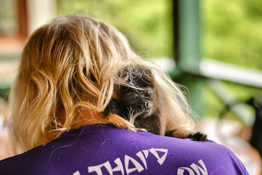 This Baby Monkey Taught Me A Lesson About The Purity We Don’t See In Humans