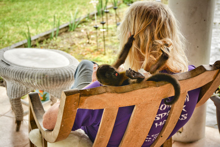 This Baby Monkey Taught Me A Lesson About The Purity We Don’t See In Humans