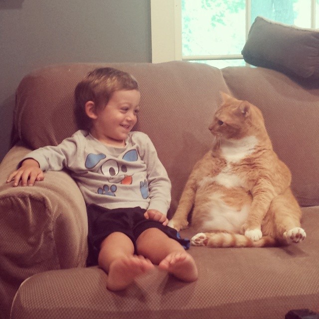 Unwanted Cat Becomes This Little Boy’s Guardian, Following Him Everywhere Unwanted Cat Becomes This Little Boy’s Guardian, Following Him Everywhere