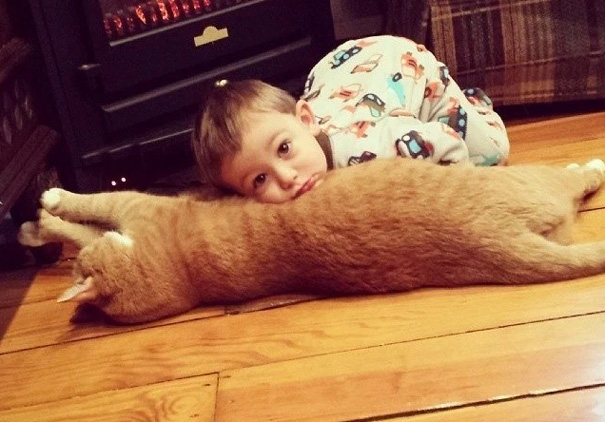 Unwanted Cat Becomes This Little Boy’s Guardian, Following Him Everywhere Unwanted Cat Becomes This Little Boy’s Guardian, Following Him Everywhere