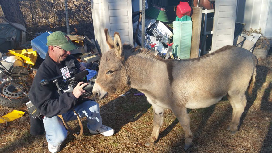 Cop Rescues Donkey From Getting Hit By Traffic, Donkey Thanks Him In A Way He Didn&#8217;t Expect