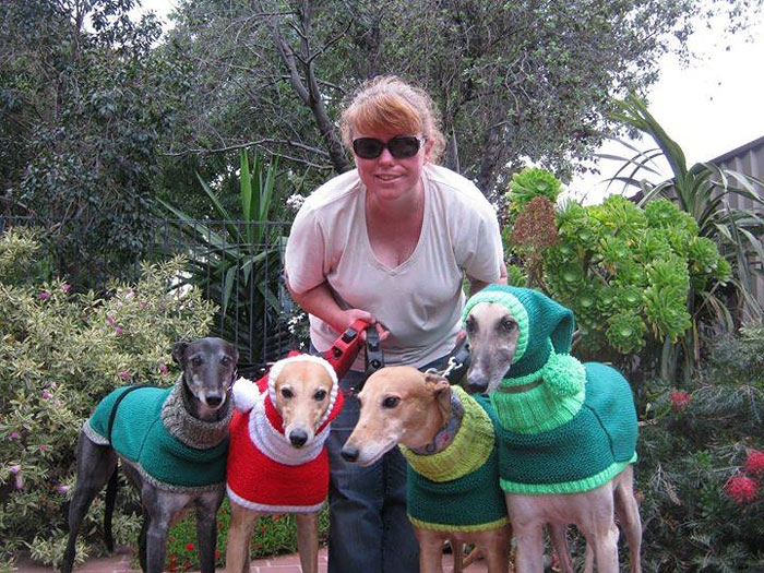 Woman Quit Her Job To Knit Sweaters For Cold Abandoned Greyhounds