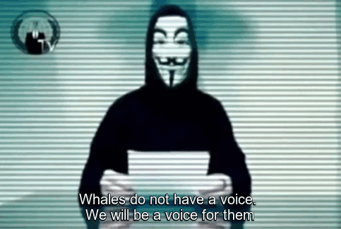 Iceland Kills Whales, So Anonymous Hackers Shut Down Its Government’s Websites Iceland Kills Whales, So Anonymous Hackers Shut Down Its Government’s Websites