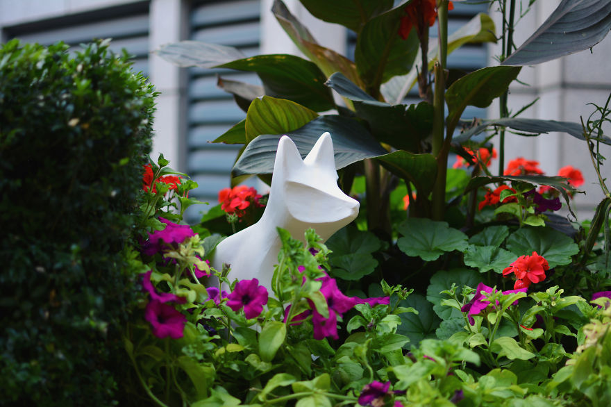 I Hide Ceramic Animals Around London And Helsinki For People To Find And Take Home I Hide Ceramic Animals Around London And Helsinki For People To Find And Take Home