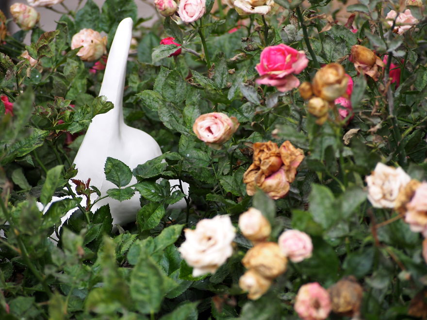 I Hide Ceramic Animals Around London And Helsinki For People To Find And Take Home I Hide Ceramic Animals Around London And Helsinki For People To Find And Take Home