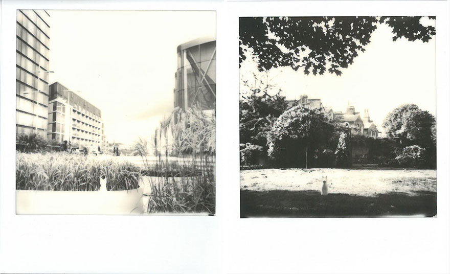 I Hide Ceramic Animals Around London And Helsinki For People To Find And Take Home I Hide Ceramic Animals Around London And Helsinki For People To Find And Take Home