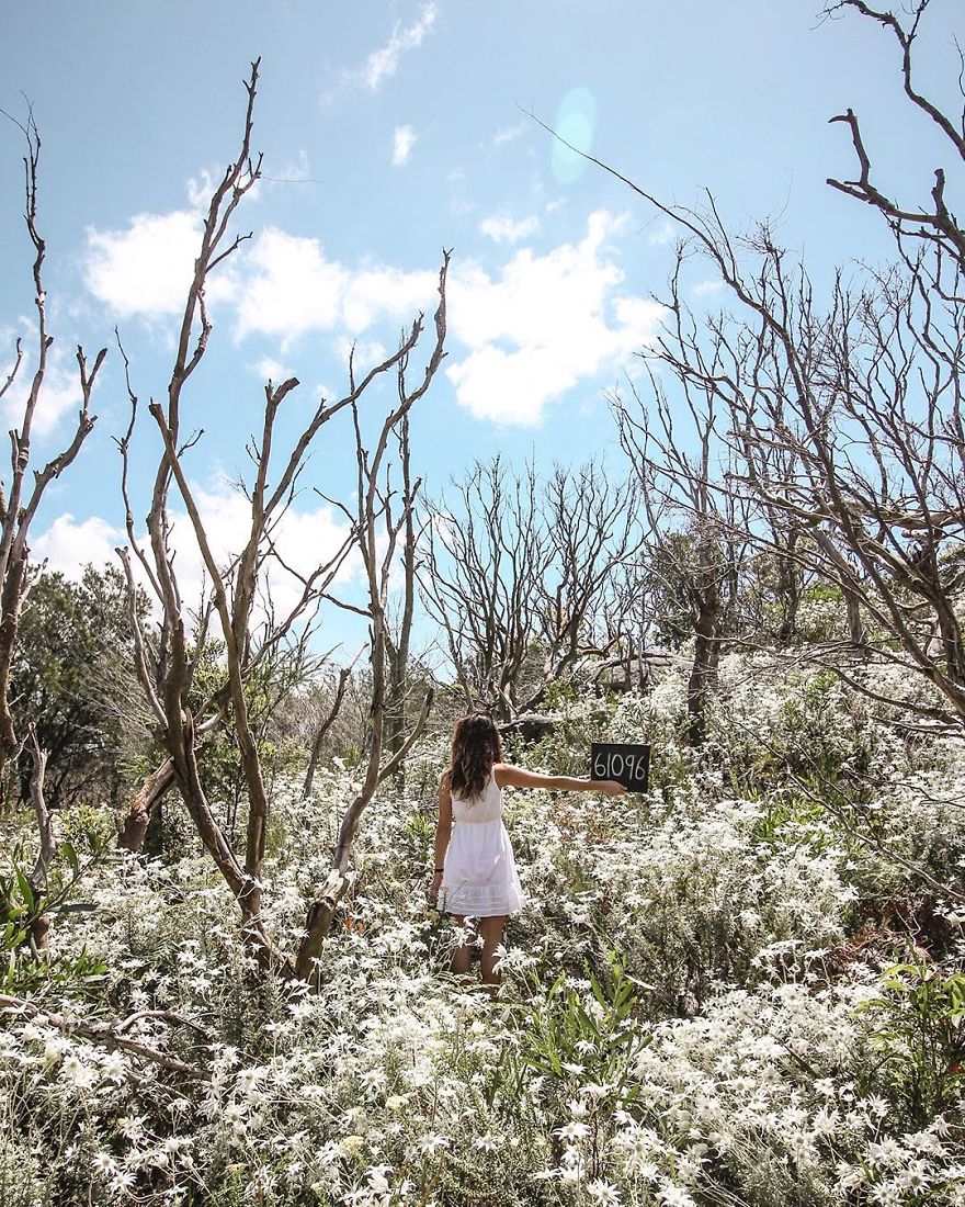 We Quit Our Jobs And Started Traveling To See How Far We Can Get (Part 2) We Quit Our Jobs And Started Traveling To See How Far We Can Get (Part 2)