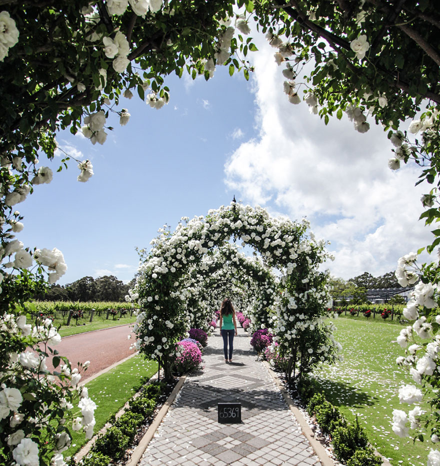 We Quit Our Jobs And Started Traveling To See How Far We Can Get (Part 2) We Quit Our Jobs And Started Traveling To See How Far We Can Get (Part 2)