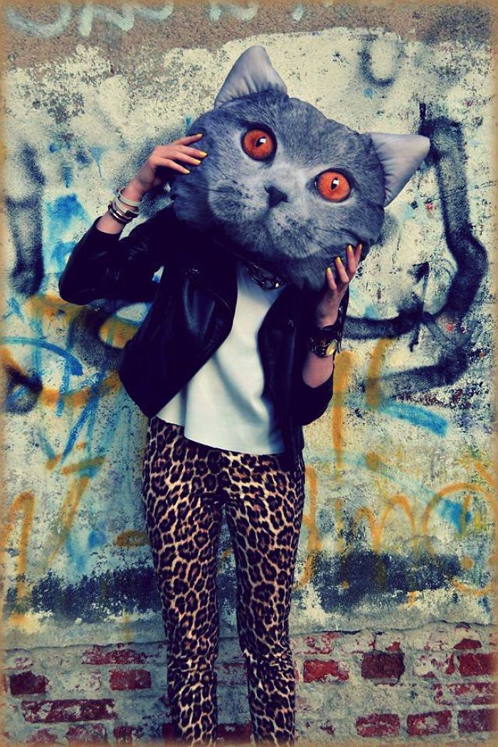 101 Purrfect Gift Ideas For Cat Lovers