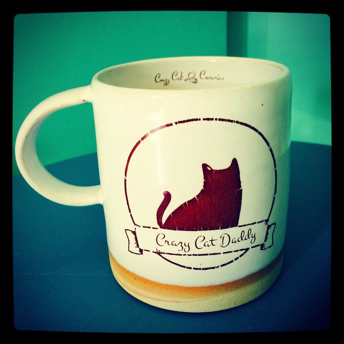101 Purrfect Gift Ideas For Cat Lovers