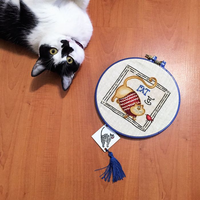 101 Purrfect Gift Ideas For Cat Lovers