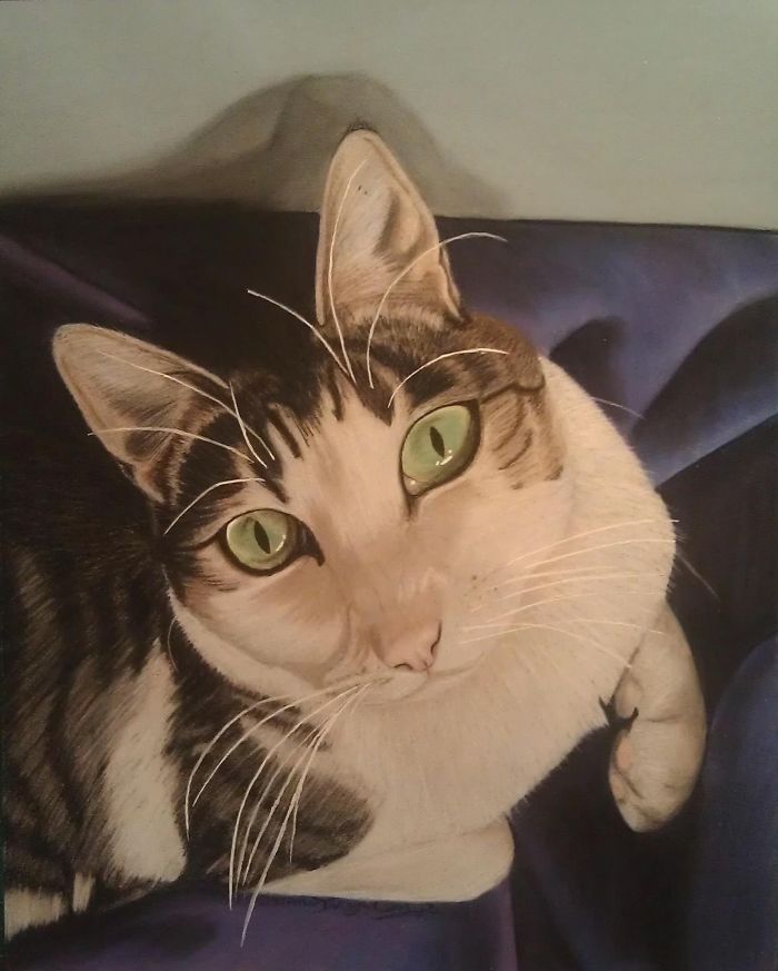 101 Purrfect Gift Ideas For Cat Lovers