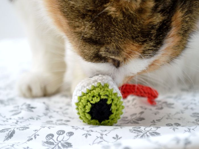 101 Purrfect Gift Ideas For Cat Lovers