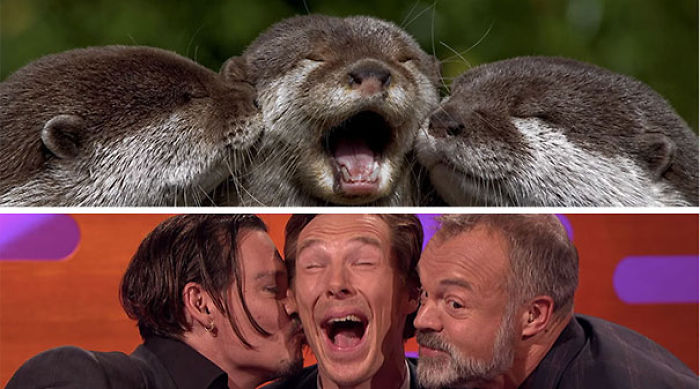 Rumors Confirmed: Benedict Cumberbatch Is An Otter (24 Pics) Rumors Confirmed: Benedict Cumberbatch Is An Otter (24 Pics)