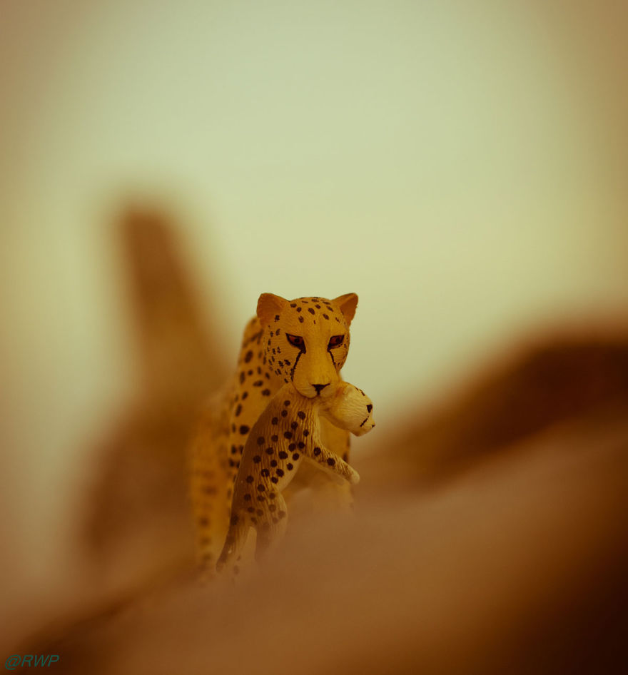 I Make Toy Animals Look Real To Help Prevent Their Extinction I Make Toy Animals Look Real To Help Prevent Their Extinction