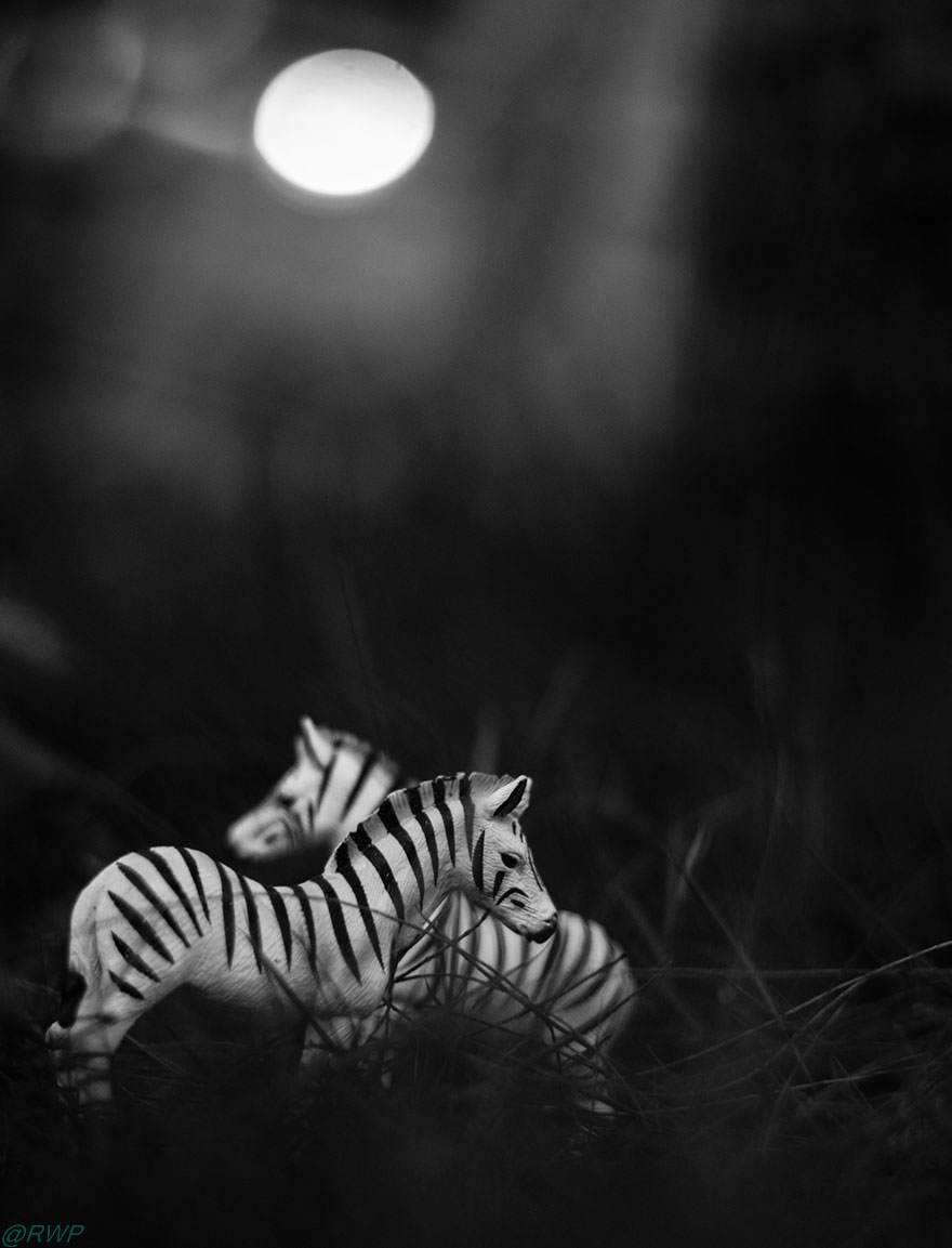 I Make Toy Animals Look Real To Help Prevent Their Extinction I Make Toy Animals Look Real To Help Prevent Their Extinction