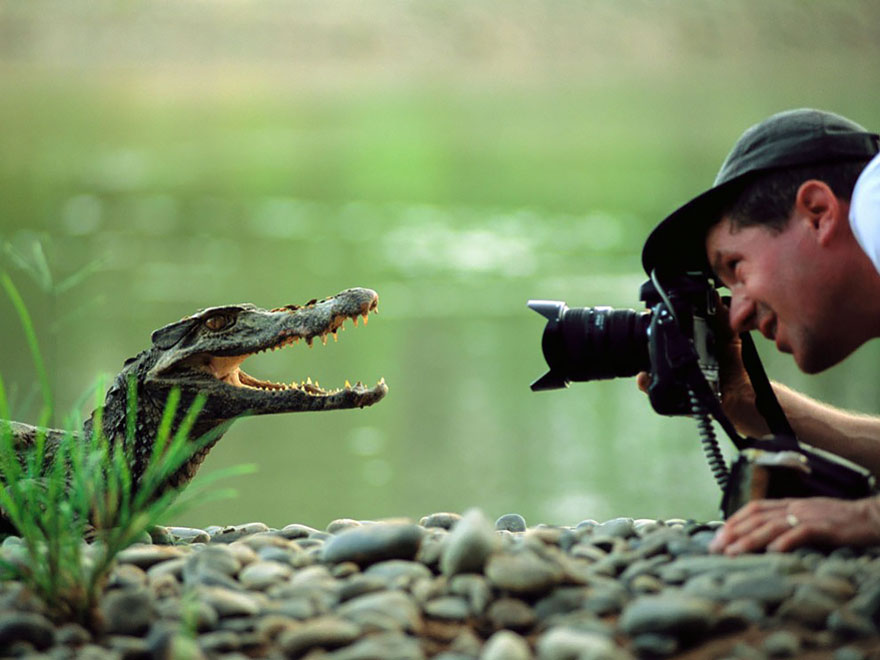 53 Reasons Why Being A Nature Photographer Is The Best Job In The World 53 Reasons Why Being A Nature Photographer Is The Best Job In The World
