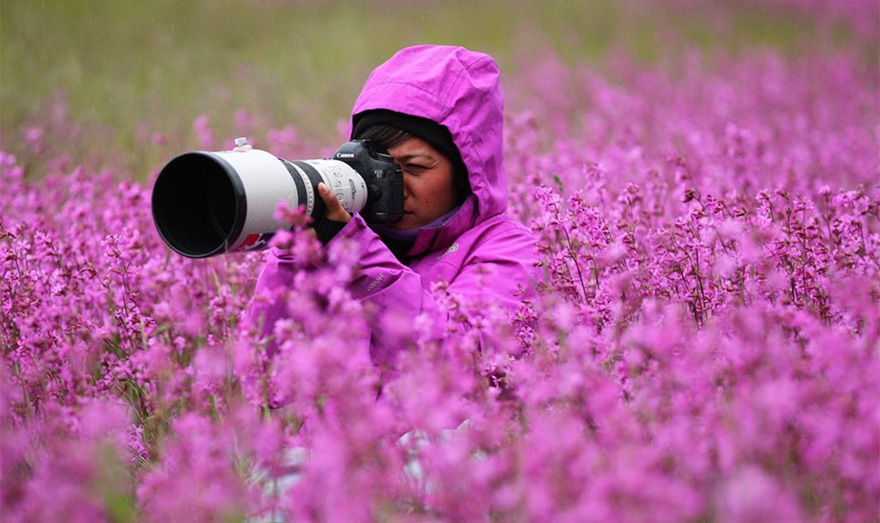 53 Reasons Why Being A Nature Photographer Is The Best Job In The World 53 Reasons Why Being A Nature Photographer Is The Best Job In The World