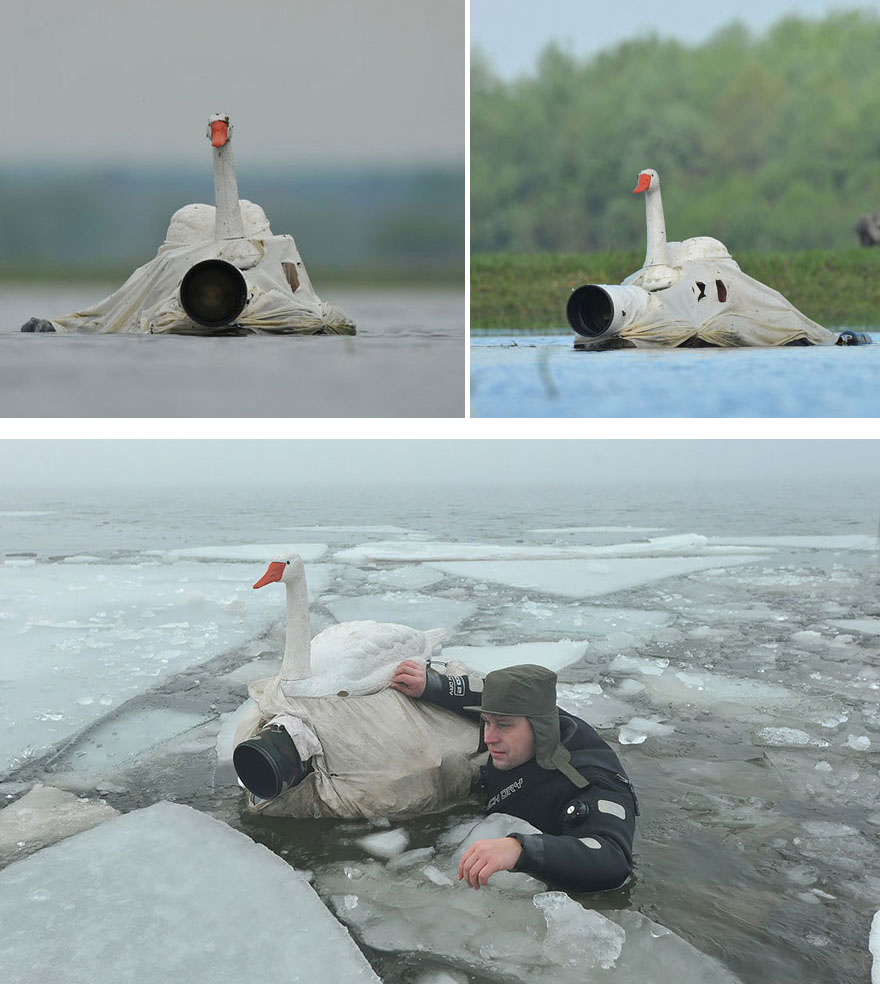 53 Reasons Why Being A Nature Photographer Is The Best Job In The World 53 Reasons Why Being A Nature Photographer Is The Best Job In The World