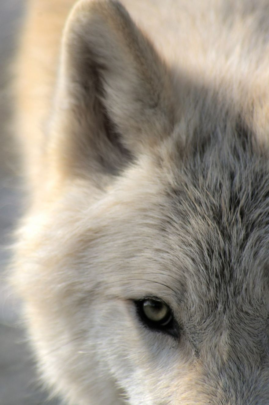 53 Reasons Why Being A Nature Photographer Is The Best Job In The World 53 Reasons Why Being A Nature Photographer Is The Best Job In The World