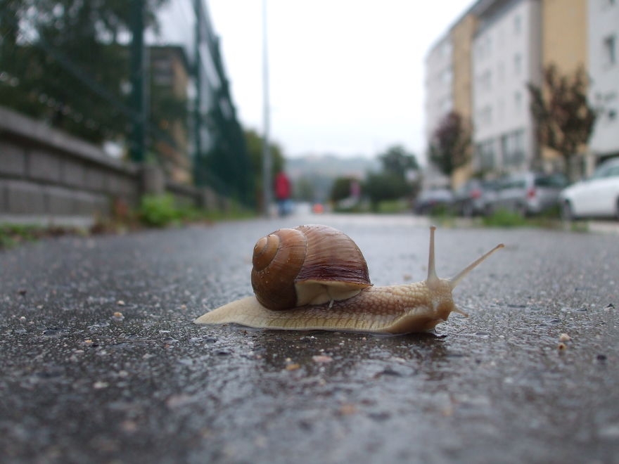 53 Reasons Why Being A Nature Photographer Is The Best Job In The World 53 Reasons Why Being A Nature Photographer Is The Best Job In The World