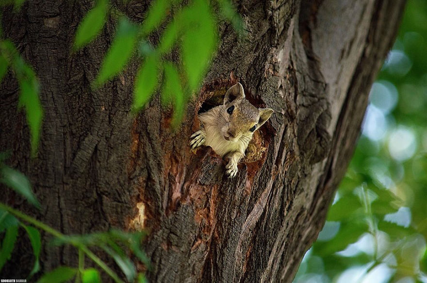 53 Reasons Why Being A Nature Photographer Is The Best Job In The World 53 Reasons Why Being A Nature Photographer Is The Best Job In The World