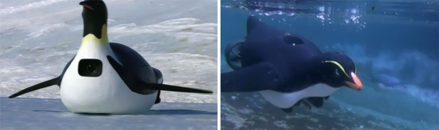 53 Reasons Why Being A Nature Photographer Is The Best Job In The World 53 Reasons Why Being A Nature Photographer Is The Best Job In The World