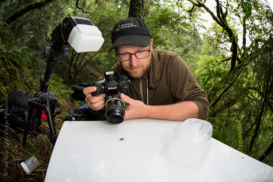 53 Reasons Why Being A Nature Photographer Is The Best Job In The World 53 Reasons Why Being A Nature Photographer Is The Best Job In The World