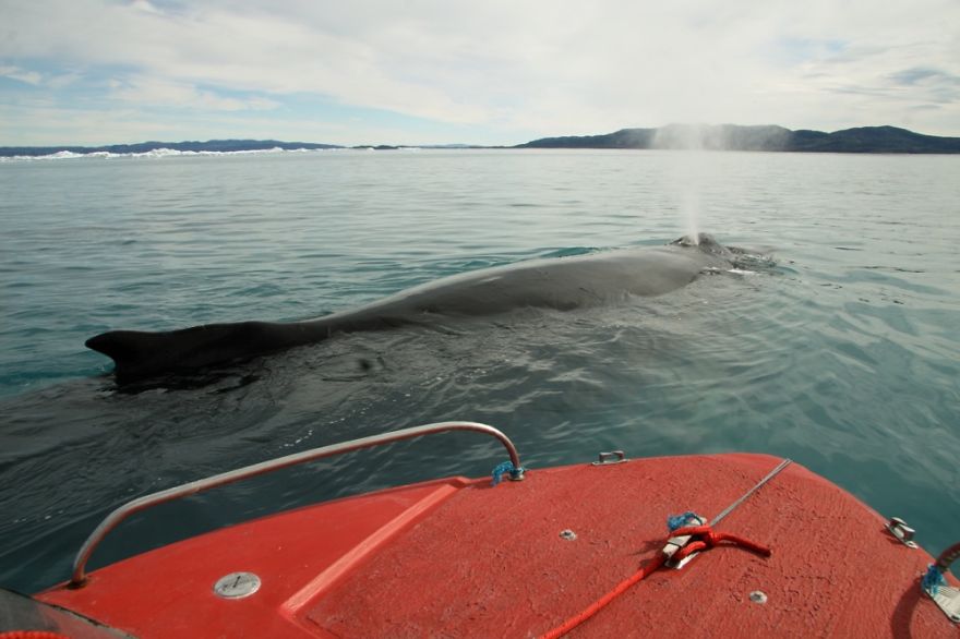 53 Reasons Why Being A Nature Photographer Is The Best Job In The World 53 Reasons Why Being A Nature Photographer Is The Best Job In The World