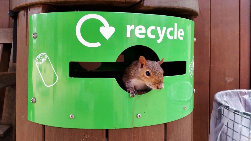 53 Reasons Why Being A Nature Photographer Is The Best Job In The World 53 Reasons Why Being A Nature Photographer Is The Best Job In The World