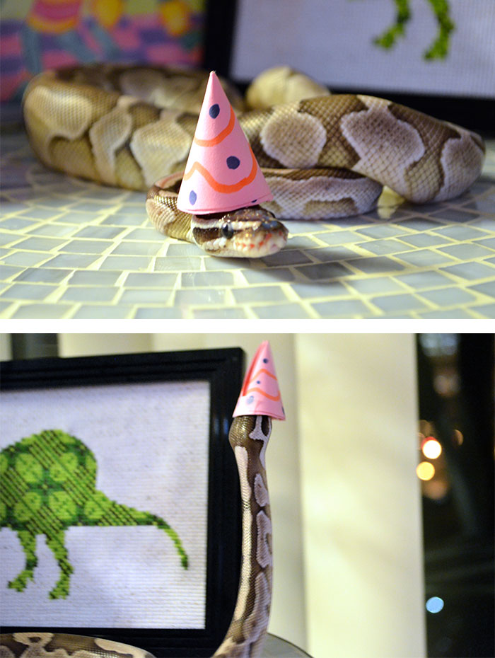 Scared Of Snakes? Put A Hat On It! Scared Of Snakes? Put A Hat On It!