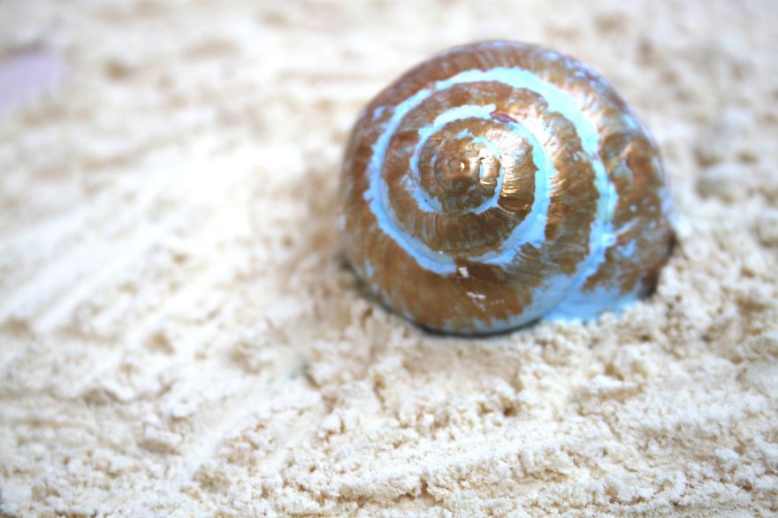 Invasion Of The Rainbow Snails Invasion Of The Rainbow Snails