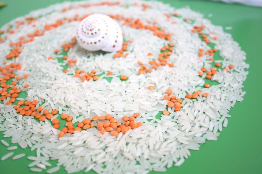 Invasion Of The Rainbow Snails Invasion Of The Rainbow Snails