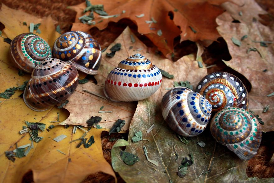 Invasion Of The Rainbow Snails Invasion Of The Rainbow Snails