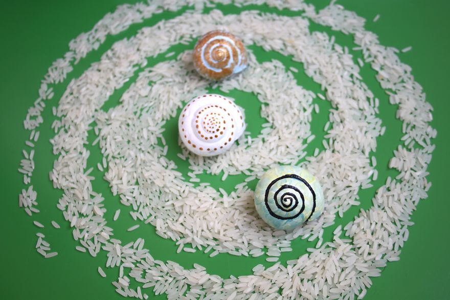 Invasion Of The Rainbow Snails Invasion Of The Rainbow Snails