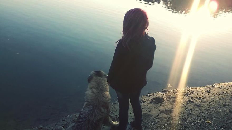 I Found It Amazing How Animals Can Change Your Life