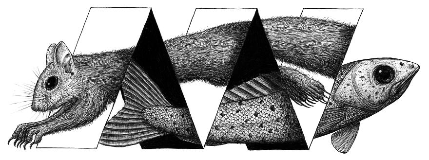 I Draw Optical Illusions Featuring Different Animals