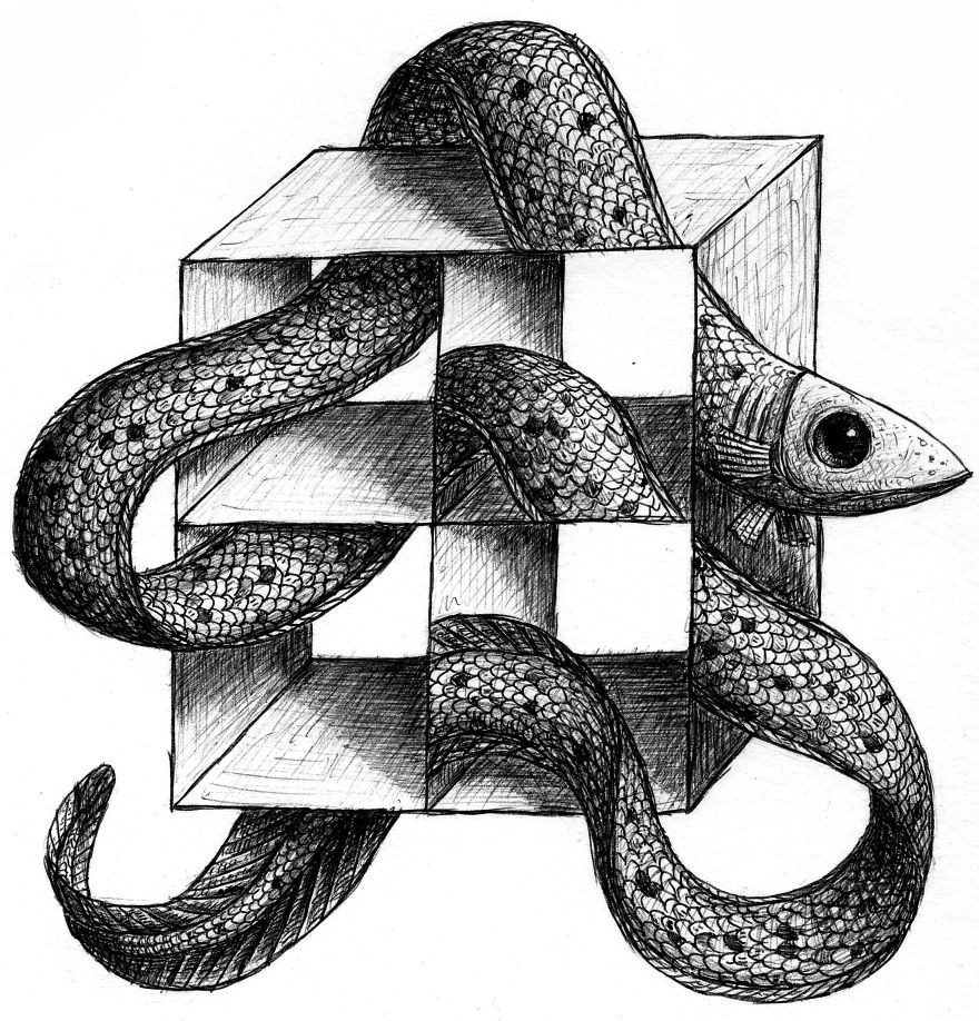 I Draw Optical Illusions Featuring Different Animals
