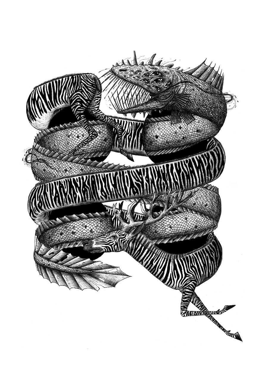 I Draw Optical Illusions Featuring Different Animals