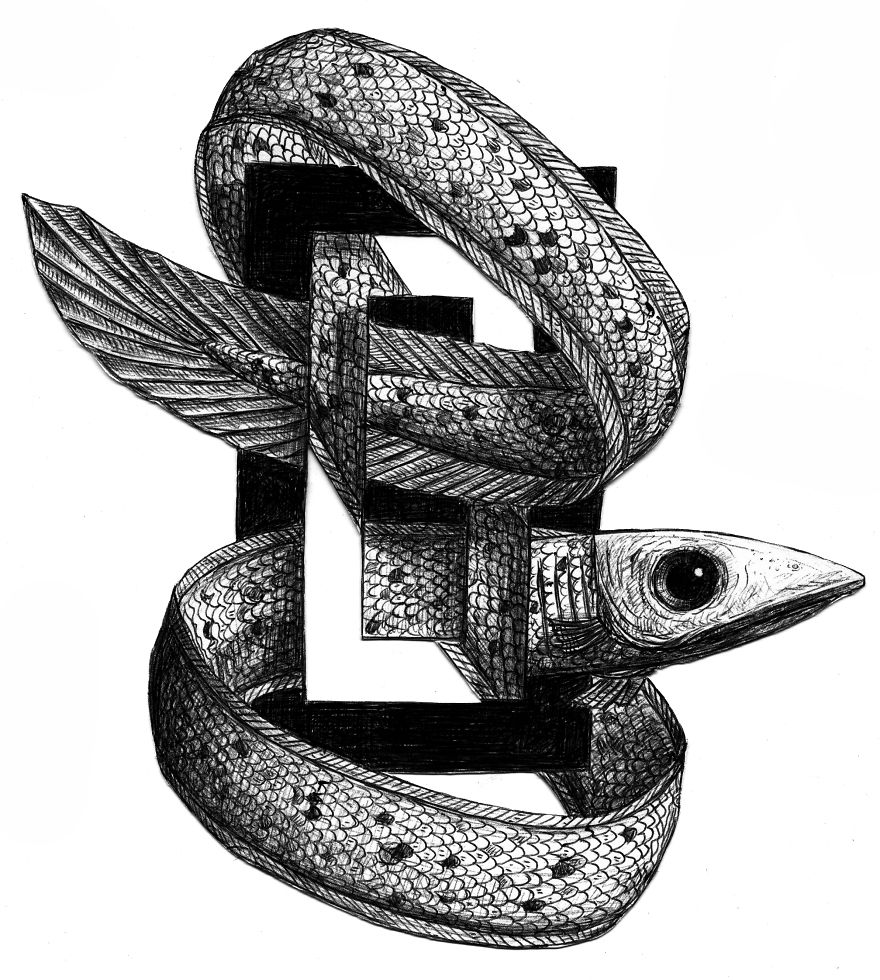 I Draw Optical Illusions Featuring Different Animals