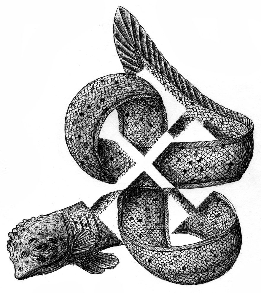 I Draw Optical Illusions Featuring Different Animals