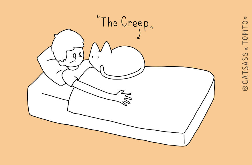 Top 10 Positions To Sleep With Your Human Top 10 Positions To Sleep With Your Human