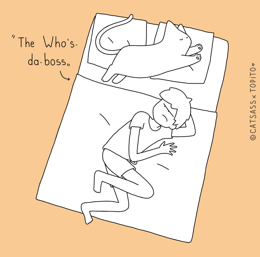 Top 10 Positions To Sleep With Your Human Top 10 Positions To Sleep With Your Human